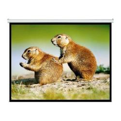 PANTALLA INTELAID PROYECTOR 120 PULGADAS COLGANTE IT-SPS120
