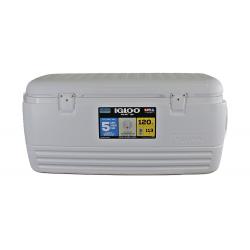Conservadora igloo polar 120 qt ( 113 lts ) 44577 blanca