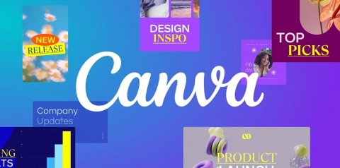 Canva tiene un puntaje de 82 sobre 100 en esta categoría. Nivel: Excelente.