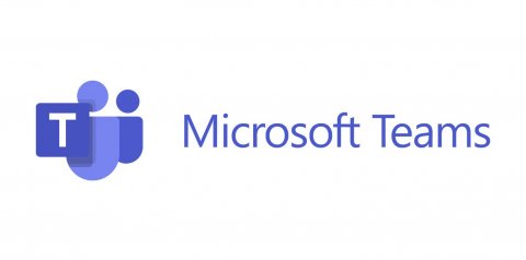 Microsoft Teams tiene un puntaje de 75 sobre 100 en esta categoría. Nivel: Excelente.