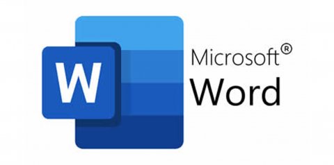 Microsoft Word tiene un puntaje de 78 sobre 100 en esta categoría. Nivel: Excelente.