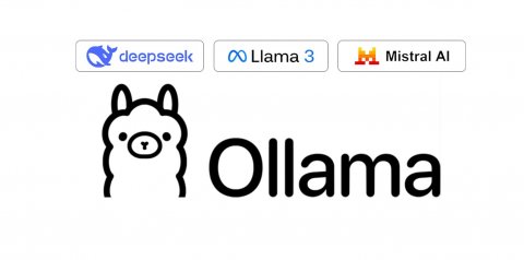 Ollama tiene un puntaje de 22 sobre 100 en esta categoría. Nivel: No recomendado.