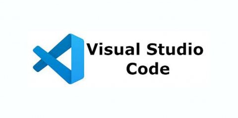 VS Code tiene un puntaje de 75 sobre 100 en esta categoría. Nivel: Excelente.
